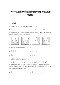2025年山东省济宁市实验初中九年级下中考三模数学试题（含答案解析）