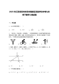 2025年江苏省苏州市苏州高新区实验学校中考九年级下数学三模试题（含答案解析）