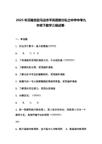 2025年河南省驻马店市平舆县部分私立中学中考九年级下数学三模试卷-（含答案解析）
