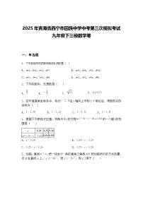 2025年青海省西宁市回族中学中考第三次模拟考试九年级下三模数学卷（含答案解析）
