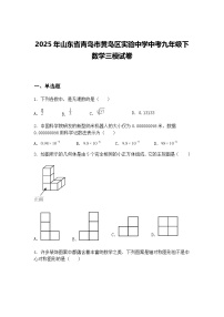 2025年山东省青岛市黄岛区实验中学中考九年级下数学三模试卷（含答案解析）