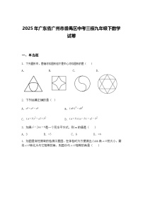 2025年广东省广州市番禺区中考三模九年级下数学试卷（含答案解析）