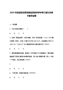 2025年安徽省合肥市新站实验中学中考三模九年级下数学试卷（含答案解析）