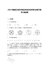 2025年黑龙江省齐齐哈尔市龙沙区中考九年级下数学三模试卷（含答案解析）