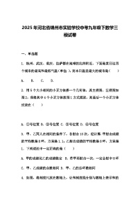 2025年河北省锦州市实验学校中考九年级下数学三模试卷（含答案解析）