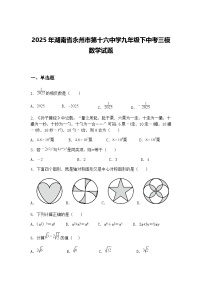 2025年湖南省永州市第十六中学九年级下中考三模数学试题（含答案解析）