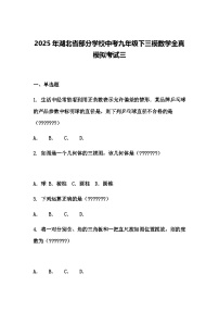 2025年湖北省部分学校中考九年级下三模数学全真模拟考试三（含答案解析）