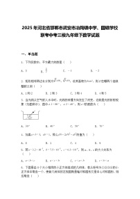 2025年河北省邯郸市武安市冶陶镇中学、固镇学校联考中考三模九年级下数学试题（含答案解析）