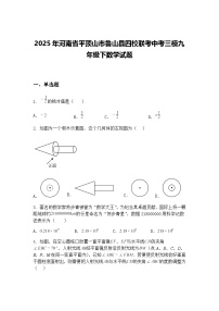 2025年河南省平顶山市鲁山县四校联考中考三模九年级下数学试题（含答案解析）