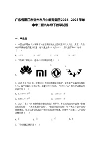 广东省湛江市雷州市八中教育集团2024--2025学年中考三模九年级下数学试题（含答案解析）