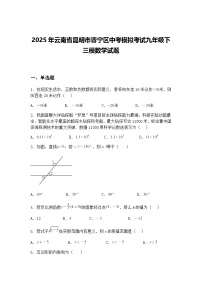2025年云南省昆明市晋宁区中考模拟考试九年级下三模数学试题（含答案解析）