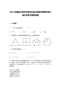 2025年黑龙江省齐齐哈尔市龙江县多校联考中考三模九年级下数学试题（含答案解析）
