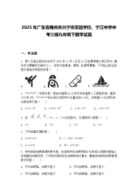 2025年广东省梅州市兴宁市实验学校、宁江中学中考三模九年级下数学试题（含答案解析）