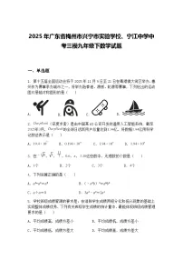 2025年广东省梅州市兴宁市实验学校、宁江中学中考三模九年级下数学试题（含答案解析）