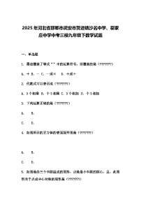 2025年河北省邯郸市武安市贺进镇沙名中学、翟家庄中学中考三模九年级下数学试题（含答案解析）