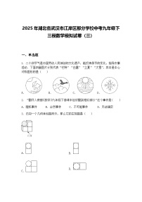 2025年湖北省武汉市江岸区部分学校中考九年级下三模数学模拟试卷（三）（含答案解析）
