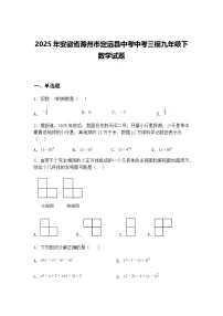 2025年安徽省滁州市定远县中考中考三模九年级下数学试题（含答案解析）