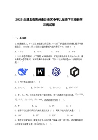 2025年湖北省荆州市沙市区中考九年级下三模数学三调试卷（含答案解析）