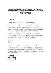 2025年河南省平顶山市鲁山县西部山区中考三模九年级下数学试题（含答案解析）