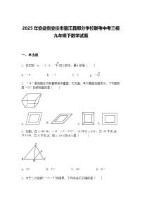 2025年安徽省安庆市望江县部分学校联考中考三模九年级下数学试题（含答案解析）