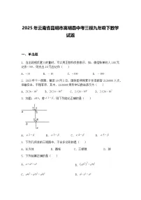 2025年云南省昆明市嵩明县中考三模九年级下数学试题（含答案解析）