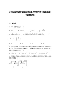 2025年安徽省安庆市潜山南片学校中考三模九年级下数学试题（含答案解析）