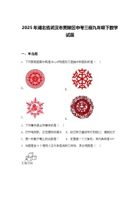 2025年湖北省武汉市黄陂区中考三模九年级下数学试题（含答案解析）