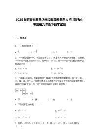 2025年河南省驻马店市汝南县部分私立初中联考中考三模九年级下数学试题（含答案解析）