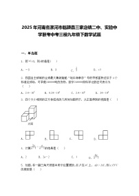 2025年河南省漯河市临颍县三家店镇二中、实验中学联考中考三模九年级下数学试题（含答案解析）