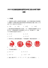 2025年云南省昆明市呈贡区中考三模九年级下数学试题（含答案解析）