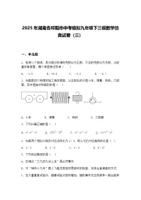 2025年湖南省祁阳市中考模拟九年级下三模数学仿真试卷（三）（含答案解析）