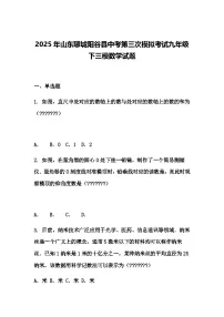 2025年山东聊城阳谷县中考第三次模拟考试九年级下三模数学试题（含答案解析）