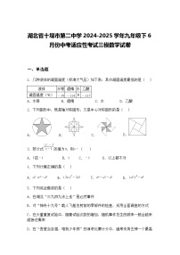 湖北省十堰市第二中学2024-2025学年九年级下6月份中考适应性考试三模数学试卷（含答案解析）