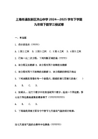 上海市浦东新区洪山中学2024—2025学年下学期九年级下数学三模试卷（含答案解析）