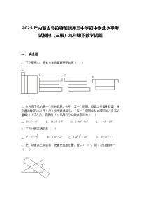 2025年内蒙古乌拉特前旗第三中学初中学业水平考试模拟（三模）九年级下数学试题（含答案解析）