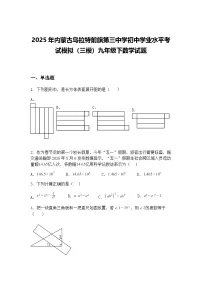 2025年内蒙古乌拉特前旗第三中学初中学业水平考试模拟（三模）九年级下数学试题（含答案解析）