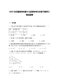 2025年河南郑州市第十九初级中学九年级下数学三模试题卷(含答案解析)