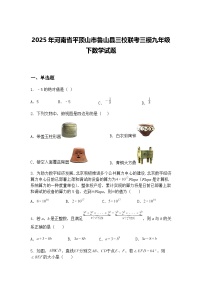 2025年河南省平顶山市鲁山县三校联考三模九年级下数学试题（含答案解析）