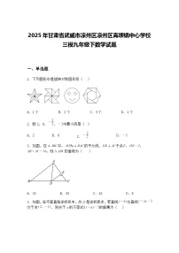 2025年甘肃省武威市凉州区凉州区高坝镇中心学校三模九年级下数学试题（含答案解析）