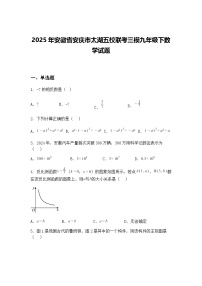 2025年安徽省安庆市太湖五校联考三模九年级下数学试题（含答案解析）