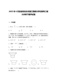 2025年6月安徽省安庆市望江县部分学校联考三模九年级下数学试题（含答案解析）