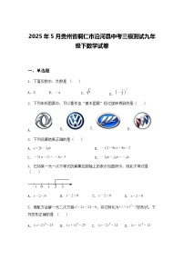 2025年5月贵州省铜仁市沿河县中考三模测试九年级下数学试卷（含答案解析）