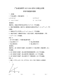 广东省深圳市2025-2026学年八年级上学期开学考试数学试卷（解析版）