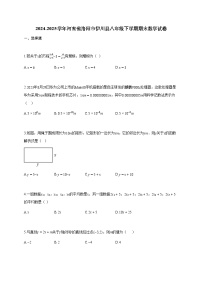 2024~2025学年河南省洛阳市伊川县八年级下学期期末数学试题（含答案）