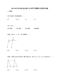 2024~2025学年湖北省应城市七年级下学期期末考试数学试题（含答案）