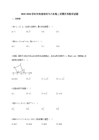 2025~2026学年河南省南阳市八年级上学期月考数学试题（含答案）