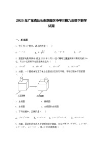 2025年广东省汕头市潮南区中考三模九年级下数学试题（含答案解析）