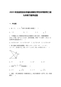 2025年安徽省安庆市宿松县部分学校中考联考三模九年级下数学试题（含答案解析）