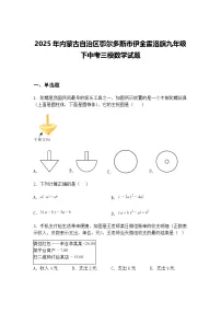 2025年内蒙古自治区鄂尔多斯市伊金霍洛旗九年级下中考三模数学试题（含答案解析）