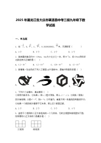 2025年黑龙江省大庆市肇源县中考三模九年级下数学试题（含答案解析）